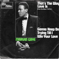 MARVIN GAYE - That´s the way love is